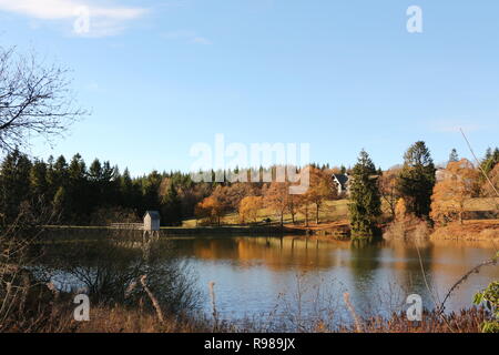 Herbst am Kranischsee in Hahnenklee-Bockswiese, einem Ortsteil von Goslar im Harz in Norddeutschland Stockfoto