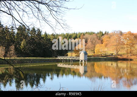 Herbst am Kranischsee in Hahnenklee-Bockswiese, einem Ortsteil von Goslar im Harz in Norddeutschland Stockfoto