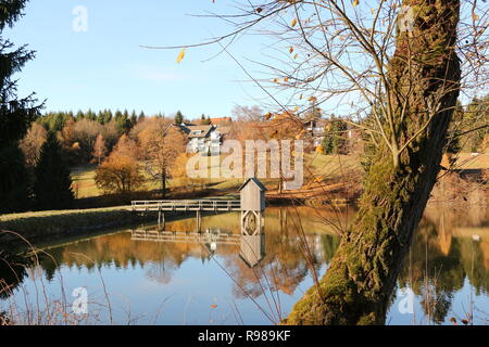 Herbst am Kranischsee in Hahnenklee-Bockswiese, einem Ortsteil von Goslar im Harz in Norddeutschland Stockfoto