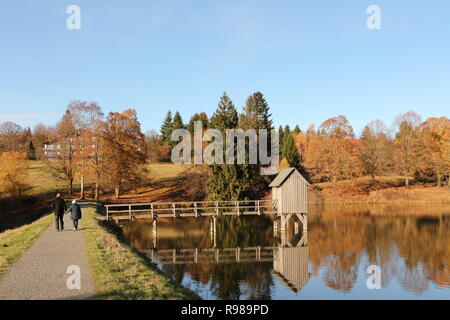 Herbst am Kranischsee in Hahnenklee-Bockswiese, einem Ortsteil von Goslar im Harz in Norddeutschland Stockfoto