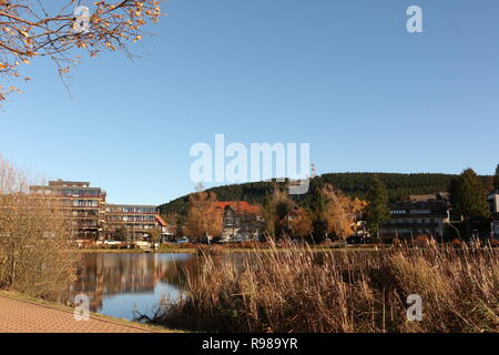 Herbst am Kranischsee in Hahnenklee-Bockswiese, einem Ortsteil von Goslar im Harz in Norddeutschland Stockfoto