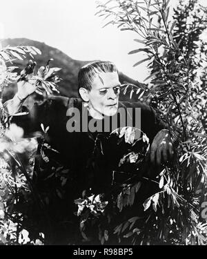 Original Filmtitel: FRANKENSTEIN. Englischer Titel: FRANKENSTEIN: FRANKENSTEIN. Jahr: 1931. Regie: James Whale. Stars: Strauch; Boris Karloff. Quelle: UNIVERSAL PICTURES/Album Stockfoto