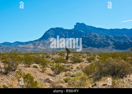 Nevada, Mesquite, Gold Butte National Monument, Jungfrau Berge Stockfoto