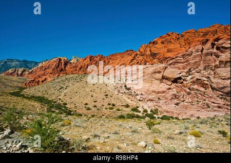 Nevada, Las Vegas, Red Rock National Conservation Area, Calico Hills South übersehen Stockfoto