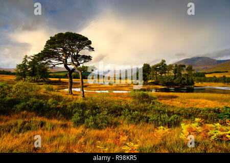 Frühe Licht am Loch Tulla, Brücke von Orchy Stockfoto