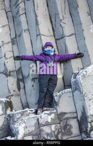 Reynisfjara Black Sand Beach, Island Stockfoto