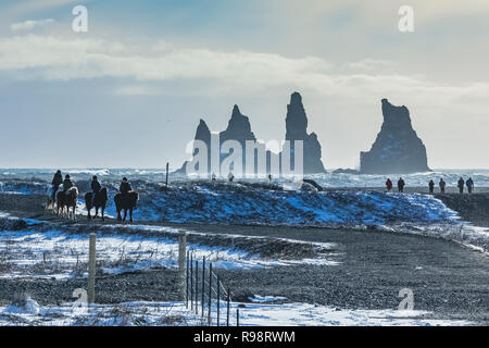 Reiten entlang der Reynisfjara schwarzer Sandstrand, im Dorf Vik, im Winter in Island [kein Modell Release; für redaktionelle Lizenzierung nur] Stockfoto