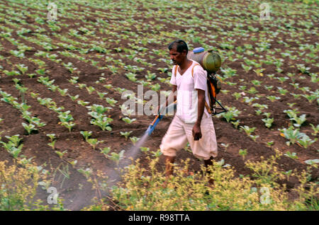 Bauer das Sprühen von Pestiziden in Indien Stockfoto