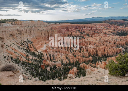 Spire geformten Felsen als Hoodoos im Bryce Canyon National Park in Utah, USA, bekannt Stockfoto