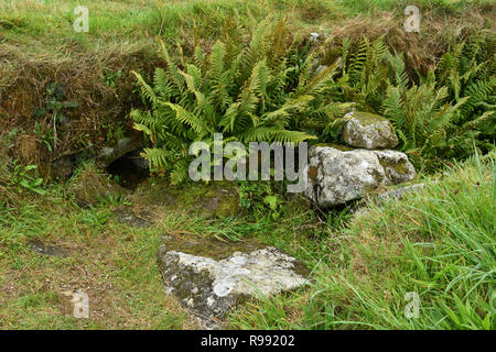 Carn Euny. Eisenzeit altes Dorf im Südwesten Englands. Es wurde von der Eisenzeit bis zum Ende der römischen Besetzung Britanniens bewohnt Stockfoto