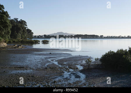 Auckland, Neuseeland. Stockfoto