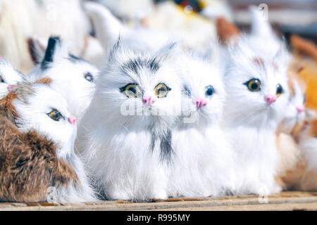 Weiches Spielzeug Kätzchen vor der Kamera sitzen Stockfoto