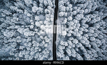 Verschneite Bäume und Straße, Leitung, Antenne drone Foto. Stockfoto