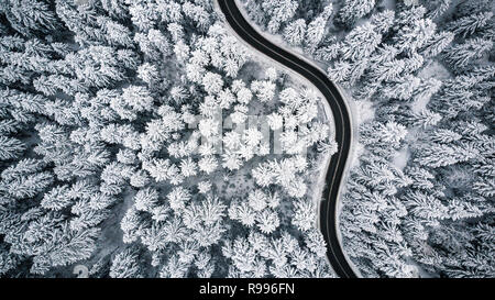 Verschneite Bäume und Straße, Leitung, Antenne drone Foto. Stockfoto