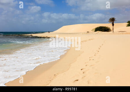 Spuren entlang der Küstenlinie von ruhigen, weißen Sandstrand zu einer Palme und Sanddünen. Praia de Chaves, Rabil, Boa Vista, Kap Verde Inseln, Afrika Stockfoto