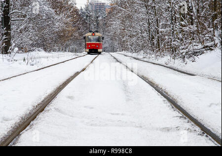 Red Straßenbahnfahrten durch den Winter Wald zwischen den Bäumen bedeckt mit weißen Schnee. Im Dezember Stockfoto