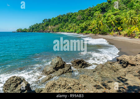 Tropischer Strand mit Palmen entlang der Pazifikküste von Costa Rica im Corcovado Nationalpark, Mittelamerika. Stockfoto
