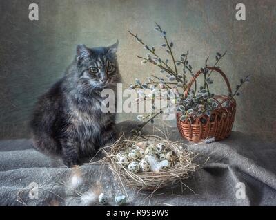 Stillleben mit Blumenstrauß aus Weide Zweig und alte Katze Stockfoto