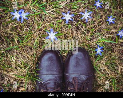 Elegante, schwarze Schuhe und helle, blaue Blumen vor dem Hintergrund des im vergangenen Jahr Gras. Ansicht von oben, close-up Stockfoto