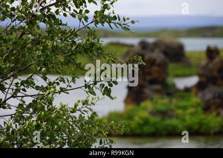 Island. Spiele der Throne region Stockfoto