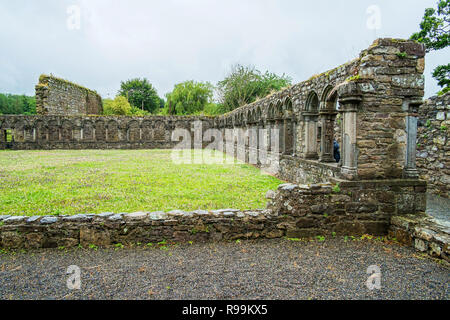 Reisen in Irland. Jerpoint Zisterzienserabtei Stockfoto