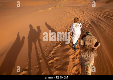 Marokko Errachidia Provinz, Erg Chebbi, Sonnenuntergang, Schatten von Touristen auf die Kamele in den Dünen Stockfoto