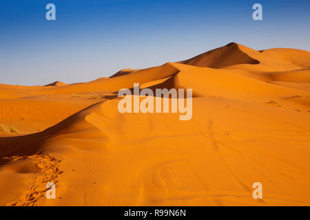 Marokko Errachidia Provinz, Erg Chebbi, Sanddünen bei Sonnenuntergang Stockfoto