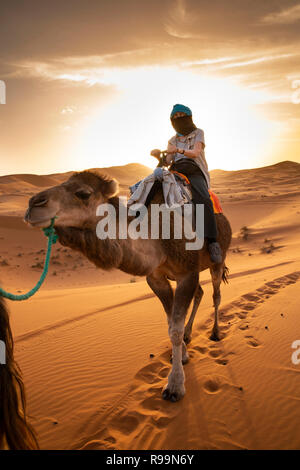 Marokko Errachidia Provinz, Erg Chebbi, touristische auf Kamelritt durch Sanddünen bei Sonnenuntergang Stockfoto