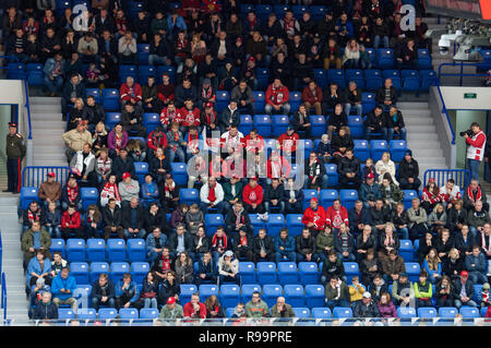 PODOLSK, Russland - Oktober 16, 2018: Unbekannter Fans auf der Tribüne des Vityaz Ice Arena während der Hockey Game Vityaz vs Severstal auf Russland KHL-Meisterschaft am 16. Oktober 2018, in Podolsk, Russland. Witjas gewann 4:1. Stockfoto
