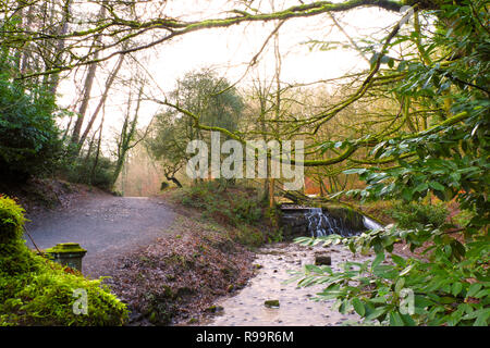 Wald und Fluss in Lancashire, UK. Stockfoto