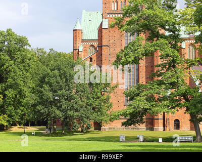 Englischer Garten und die Westfassade des Doberaner Münster in Deutschland Stockfoto