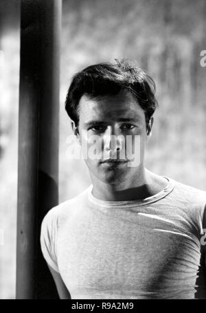 Original Film Titel: A streetcar named desire. Englischer Titel: A streetcar named desire. Jahr: 1951. Regie: Elia Kazan. Stars: Marlon Brando. Quelle: WARNER BROTHERS/Album Stockfoto