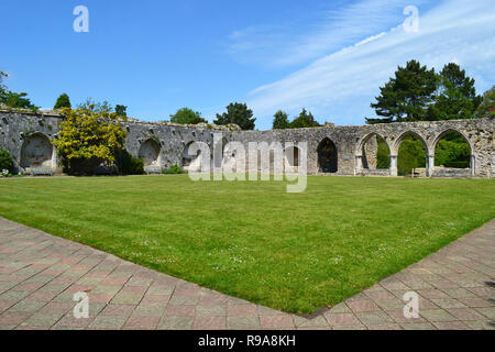 Beaulieu Abbey Kreuzgang, den Ruinen einer Zisterzienserabtei aus dem 13. Jahrhundert. In Beaulieu National Motor Museum, in den Gärten. New Forest, Hampshire, Großbritannien Stockfoto