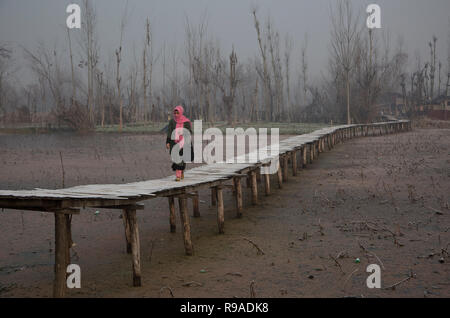 Srinagar, Indisch kontrollierten Teil Kaschmirs. 21 Dez, 2018. Eine Frau geht in Kaschmir auf einem Frost - überdachte Fußgängerbrücke in die Innenräume der Dal Lake an einem kalten Morgen in Srinagar Stadt, der Sommer Hauptstadt von Indien kontrollierten Teil Kaschmirs, Dez. 21, 2018. Credit: Javed Dar/Xinhua/Alamy leben Nachrichten Stockfoto