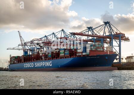 Hamburg, Deutschland. 02 Nov, 2018. Die teilweise geladen COSCO VERSAND LEO, einem der größten Containerschiffe der Welt am Container Terminal Tollerort (CTT) der HHLA im Hamburger Hafen. Die COSCO VERSAND LEO mit IMO-Nummer 9783502 ist eine von mehreren COSCOCS 20.000-TEU-Containerschiffen Typ von der chinesischen Reederei COSCO Shipping Corporation gehört. Es wurde von der Nantong Cosco KHI Ship Engineering mit dem Bau Anzahl NE232 aufgebaut. | Verwendung der weltweiten Kredit: dpa/Alamy leben Nachrichten Stockfoto