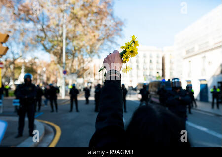 Barcelona, Spanien. 21. Dez 2018. Katalanisch independantists, CDR, halten gelbe Blumen in Zeichen des Friedens bei Zusammenstößen mit der Polizei gegen eine Regierung treffen Stockfoto