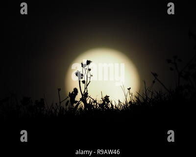 Leysdown, Kent, Großbritannien. 22. Dezember, 2018. UK Wetter: Die vollständige 'kalt' Mond in Leysdown, Kent heute abend steigt. Credit: James Bell/Alamy leben Nachrichten Stockfoto