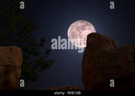 Vollmond steigt in den Bergen von Colorado an einem klaren Sternenhimmel. Stockfoto