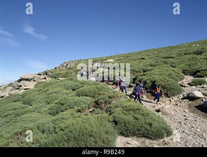 BAJADA DESDE LOS BARRERONES HACIA EL CIRCO DE GREDOS. Ort: Sierra de Gredos. PROVINCIA. AVILA. Spanien. Stockfoto