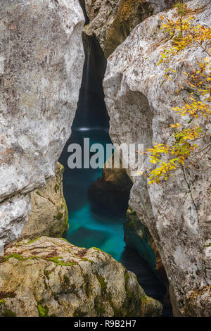 Fluss Soca Schlucht Velika Korita Stockfoto