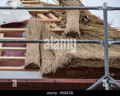 Baumaterial für eine friesische Haus Stockfoto