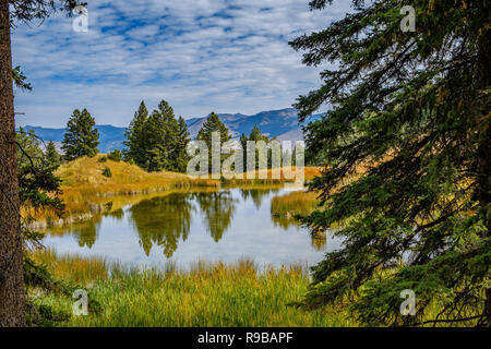 Einen dramatischen Rückgang der Biber Teiche, Yellowstone National Park Stockfoto