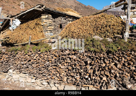 Die tibetischen Dorf Samdo auf den Manaslu Circuit Trek ist der traditionellen 2stöckigen Häusern mit Vieh unter lebenden Viertel gemacht Stockfoto