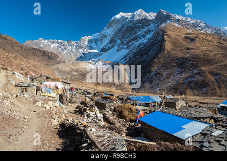 Die tibetischen Dorf Samdo auf den Manaslu Circuit Trek ist der traditionellen 2stöckigen Häusern mit Vieh unter lebenden Viertel gemacht Stockfoto