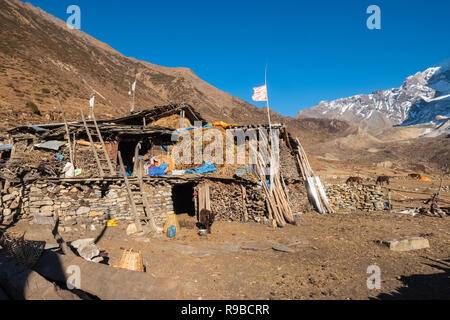 Die tibetischen Dorf Samdo auf den Manaslu Circuit Trek ist der traditionellen 2stöckigen Häusern mit Vieh unter lebenden Viertel gemacht Stockfoto