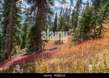 Wandern Granat Canyon Trail Wanderung Der Grand Tetons National Park in Wyoming, USA Stockfoto