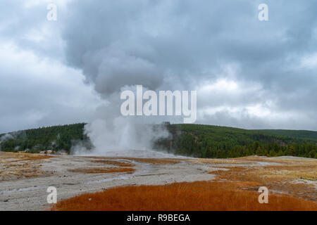 Old Faithful Geiser Yellowstone National Park, Wyoming, USA Stockfoto