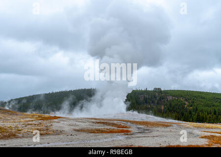 Old Faithful Geiser Yellowstone National Park, Wyoming, USA Stockfoto