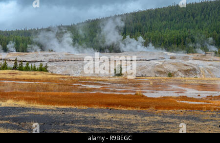 Old Faithful Geiser Yellowstone National Park, Wyoming, USA Stockfoto