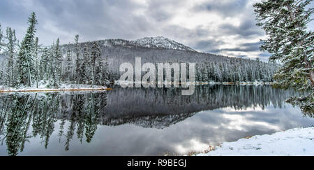 Besuch der Yellowstone National Park, Wyoming, USA im Oktober Stockfoto